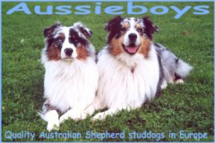 ausfx australian shepherds
